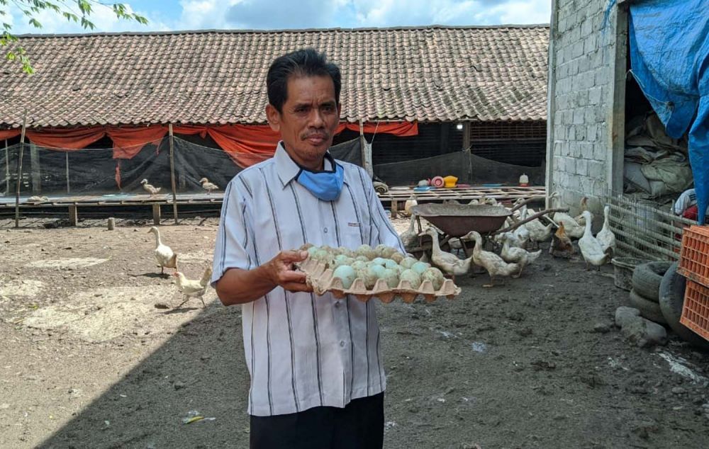 Musadi, salah satu peternak bebek di Desa Kapuran, Kecamatan Badegan, Kabupaten Ponorogo