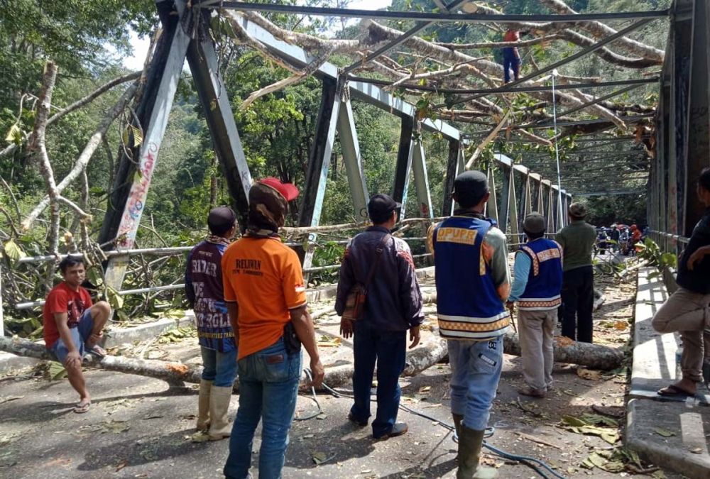 Petugas gabungan membersihkan pohon besar setinggi 80 meter yang tumbang timpa Jembatan Cembor, Trawas, Mojokerto