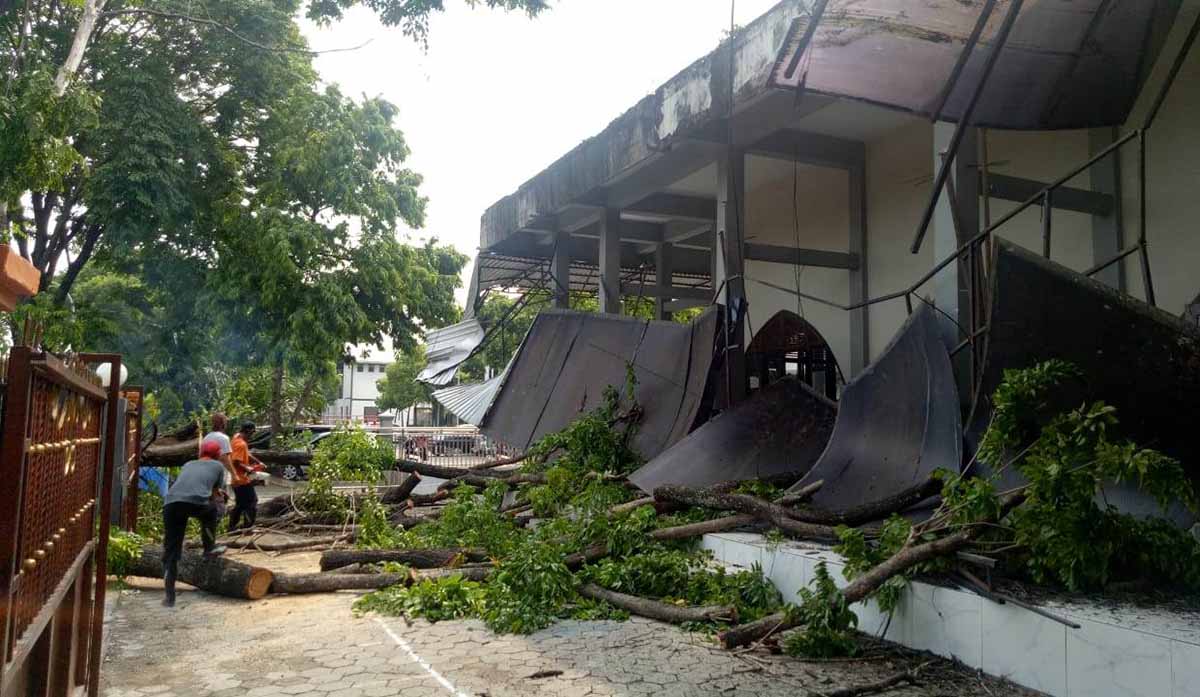 Angin Kencang Tumbangkan Banyak Pohon, Begini Langkah BPBD Mojokerto