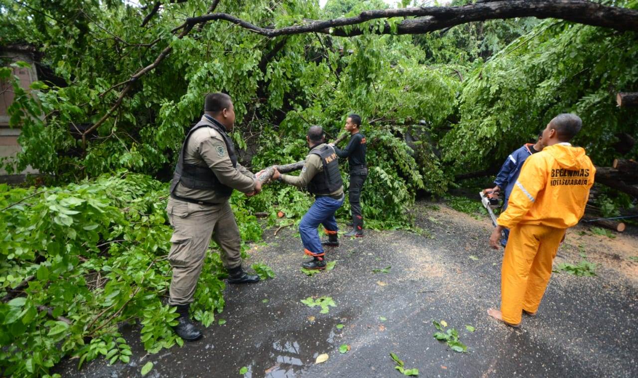 Cuaca buruk sebabkan pohon roboh