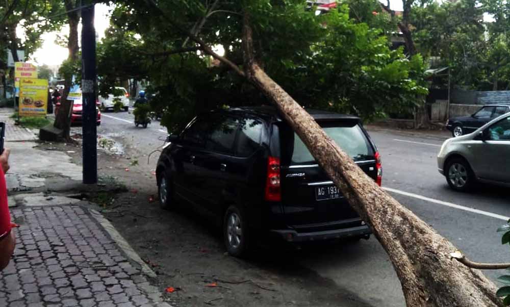 Pohon tumbang timpa mobil Avanza