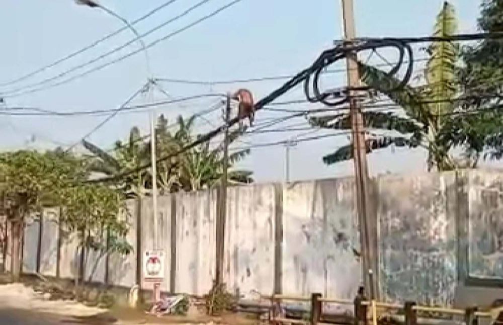 Penampakan pria diduga ODGJ yang memanjat tiang telekomunikasi (Foto: Tangkapan layar video yang beredar)