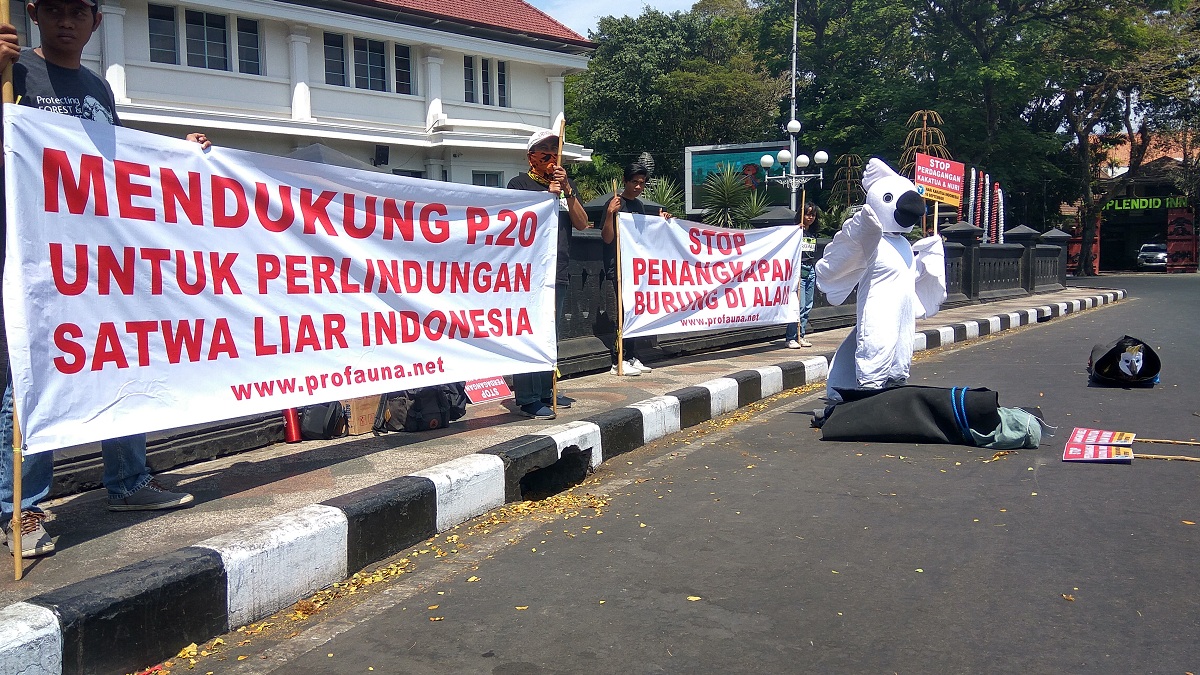 Aksi Pro Fauna di Balai Kota Malang /Avirista Midaada