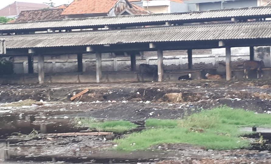 Salah satu kandang di RPH Surabaya