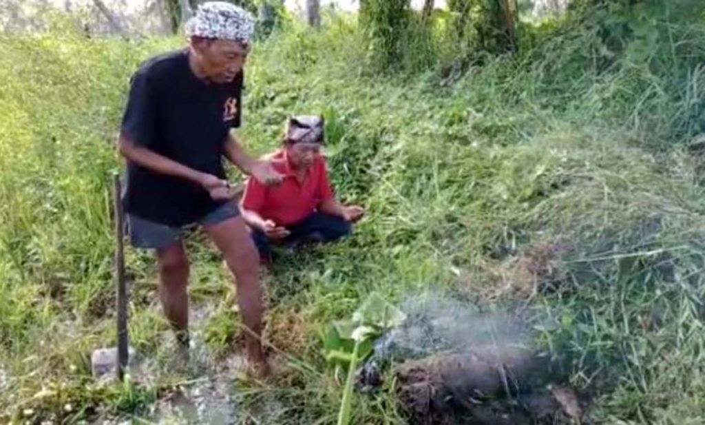 Ritual bercocok tanam Suku Osing di Banyuwangi