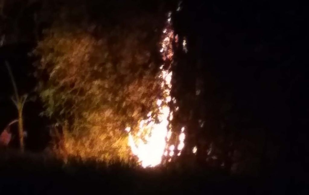 Rumpun bambu yang terbakar (Foto: Irul Hamdani/jatimnow.com)