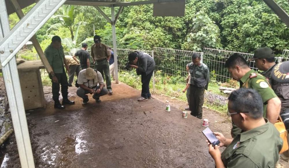 12 Rusa Mati di Coban Jahe Malang, Penyebabnya Masih Misterius