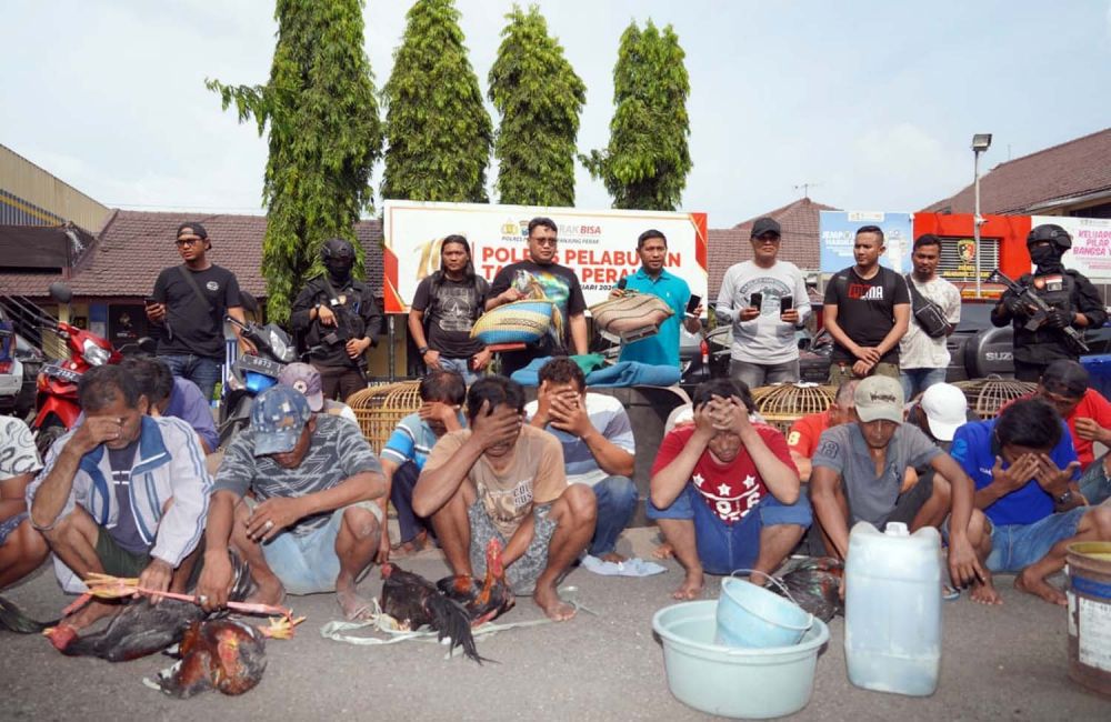 Arena Judi Sabung Ayam di Kenjeran Surabaya Digerebek