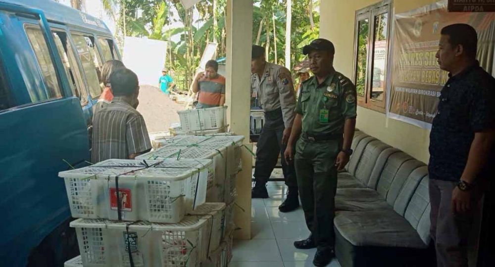 Penyelundupan Puluhan Musang dan Kera Digagalkan di Situbondo