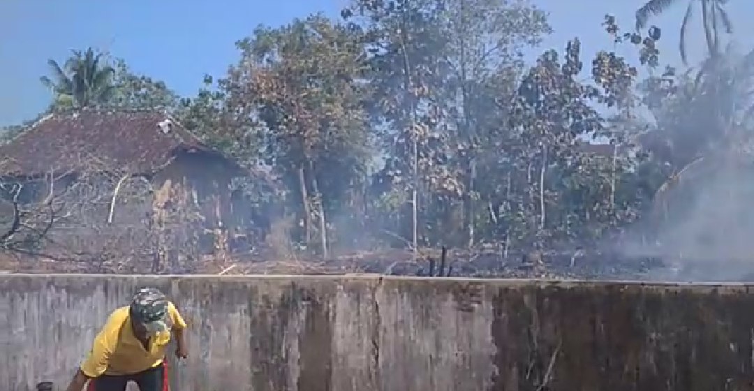 Lahan yang terbakar di Pacitan.