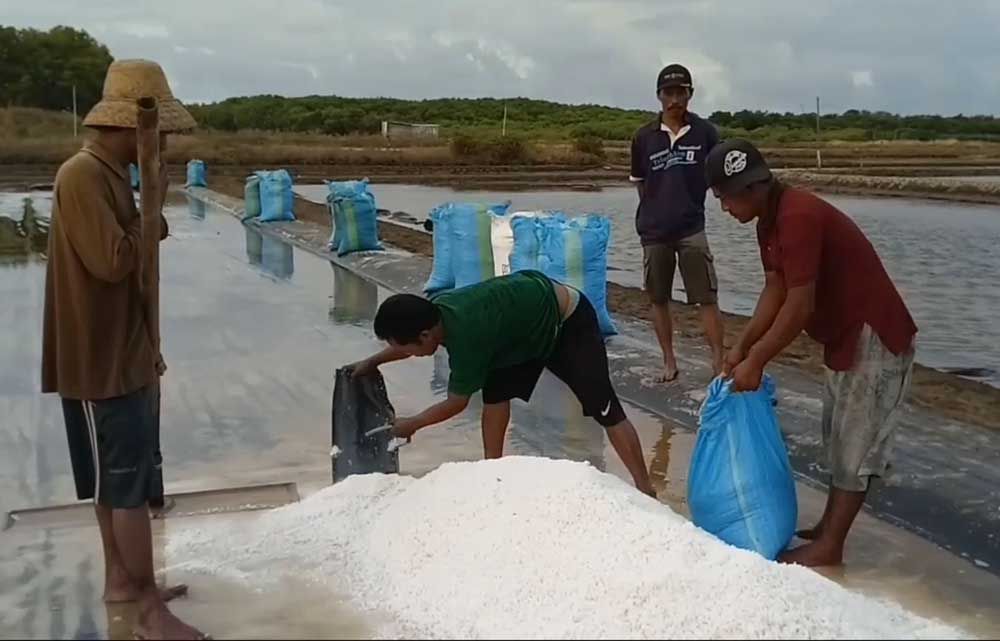 Petani garam di Pasuruan