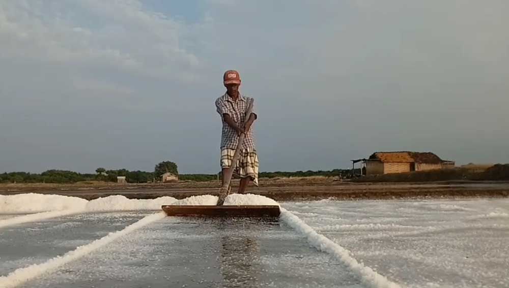 Petani garam di Pasuruan