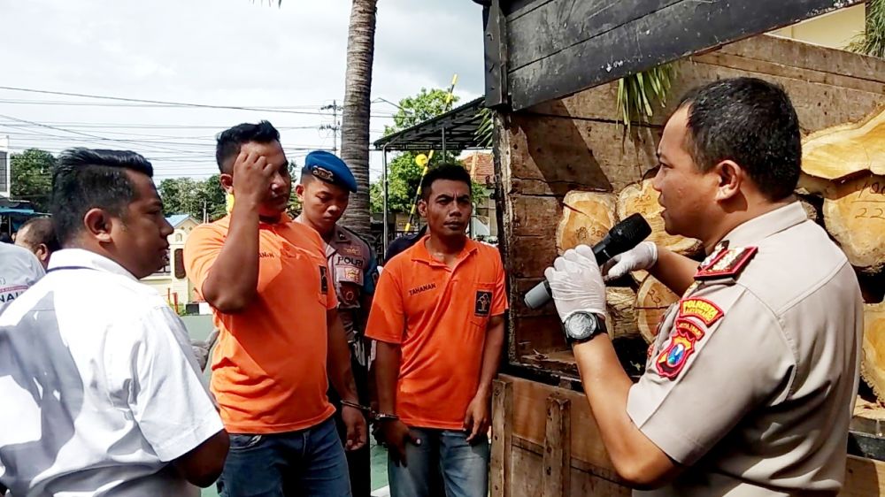 Pembalakan Hutan Jati yang diungkap Polresta Banyuwangi