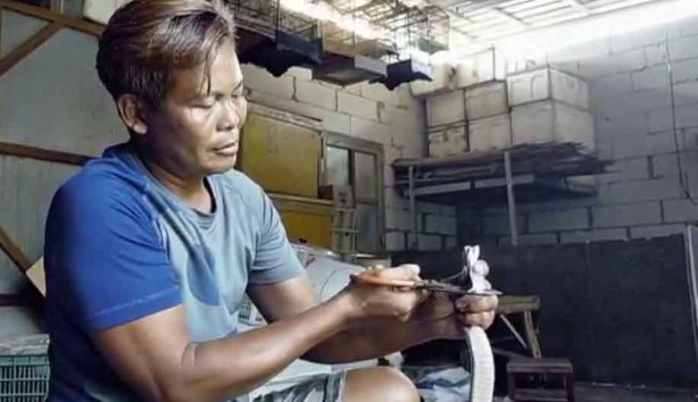 M Arifin memotong ular kobra untuk diambil empedunya