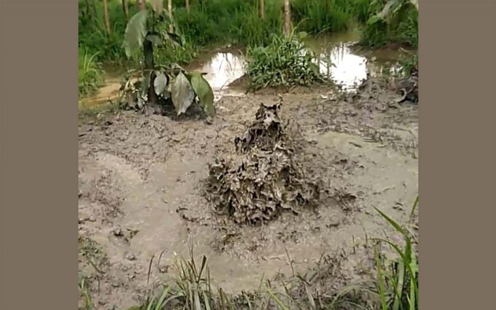 Semburan lumpur bercampur gas di Desa Batokan, Kecamatan Kasiman, Kabupaten Bojonegoro 