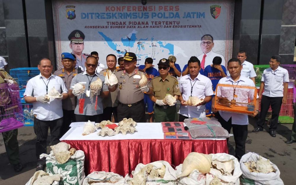 Polda Jatim bongkar sindikat perdagangan hewan langka dilindungi