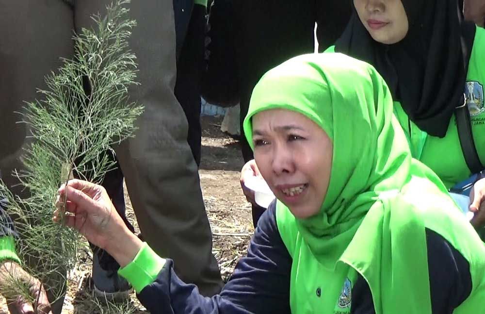 Redam Tsunami, Khofifah Ajak Daerah Pesisir Jatim Tanam Cemara Udang