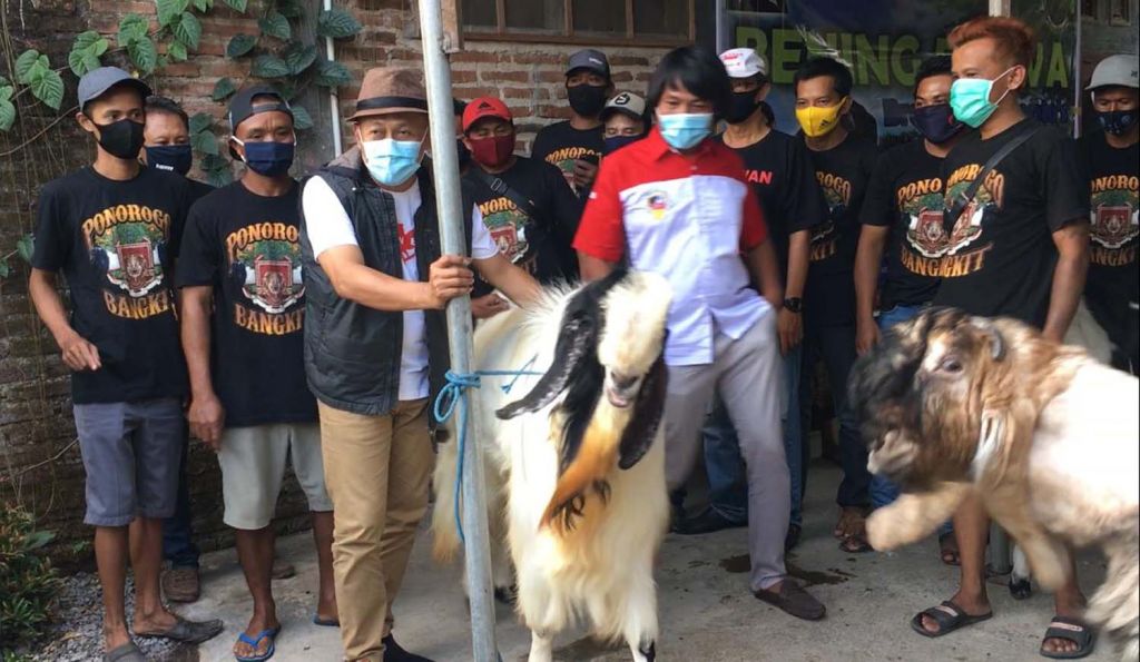Calon Bupati Ponorogo, Sugiri Sancoko bertemu peternak kambing peranakan etawa