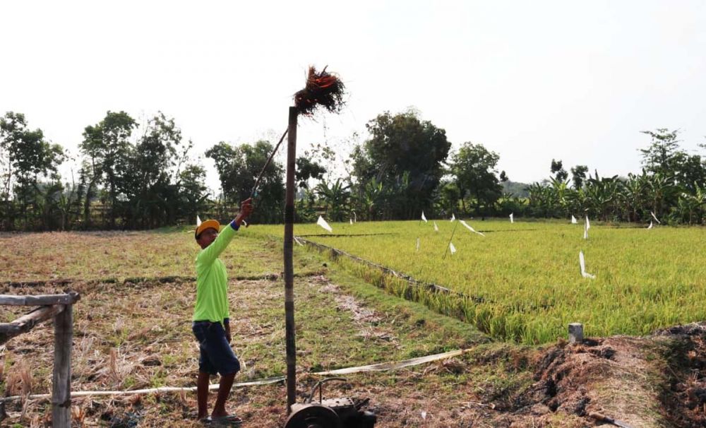 Pemilik ladang menunjukkan kobaran api dari pipa yang ditancapkan ke dalam sumur