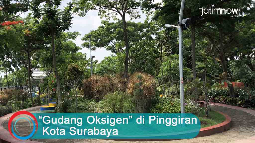 Video: Menengok Taman di Pinggiran Kota Surabaya