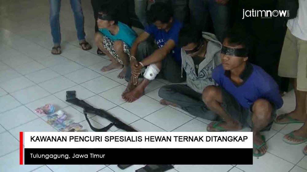 Video: Kawanan Pencuri Hewan Ternak di Tulungagung Ditangkap