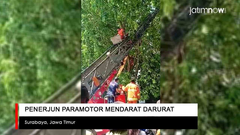 Video: Penerjun Paramotor Mendarat Darurat di Pohon
