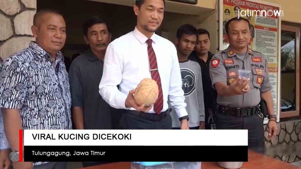 Polisi Autopsi Kucing yang Diberi Cairan Diduga Miras ke Labfor