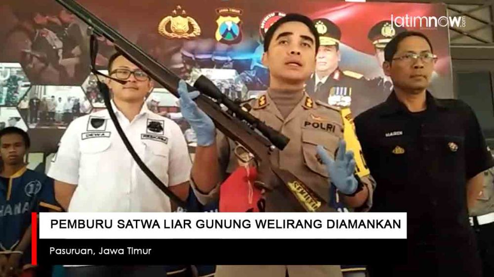 Video: Pemburu Satwa Gunung Welirang Diamankan