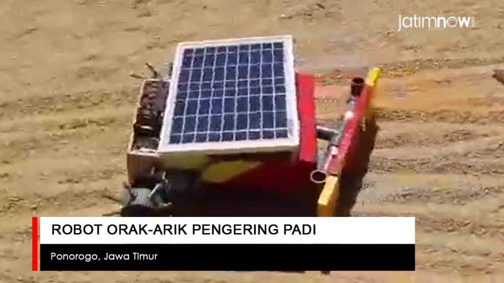Video: Robot Orak-arik Gabah Karya Siswi SMP