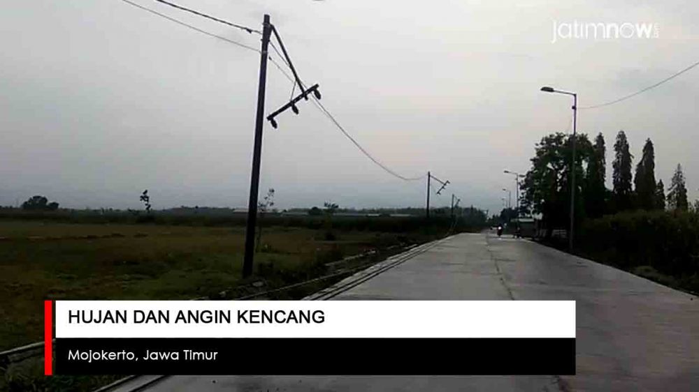 Video: Hujan dan Angin Kencang Terjang Mojokerto