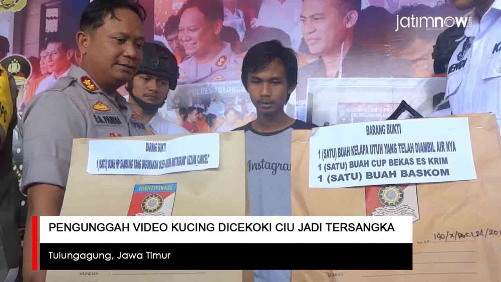 Video: Pengunggah Video Kucing Dicekoki Ciu Jadi Tersangka