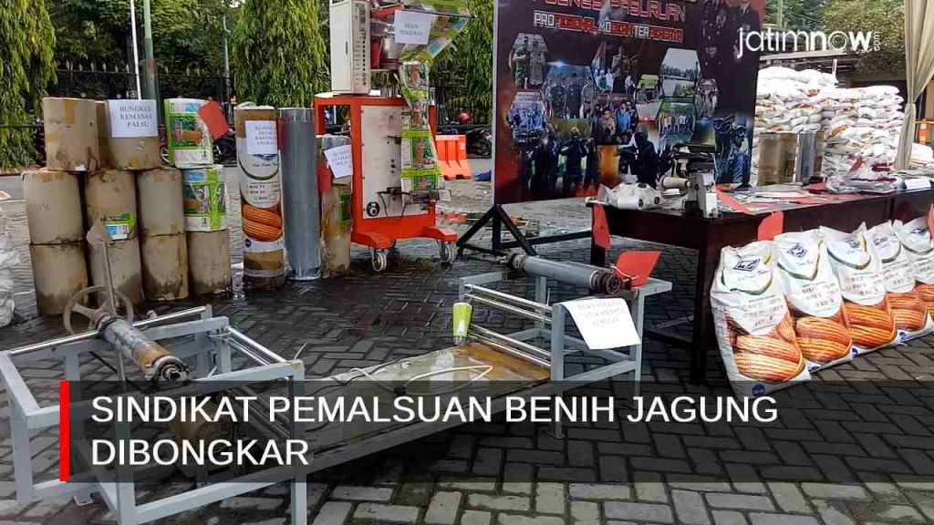 Video: Sindikat Pemalsuan Benih Jagung Dibongkar