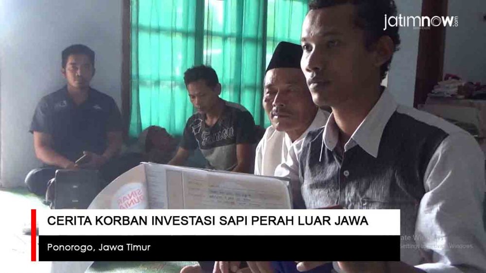 Video: Cerita Korban Investasi Sapi Perah asal Luar Pulau Jawa