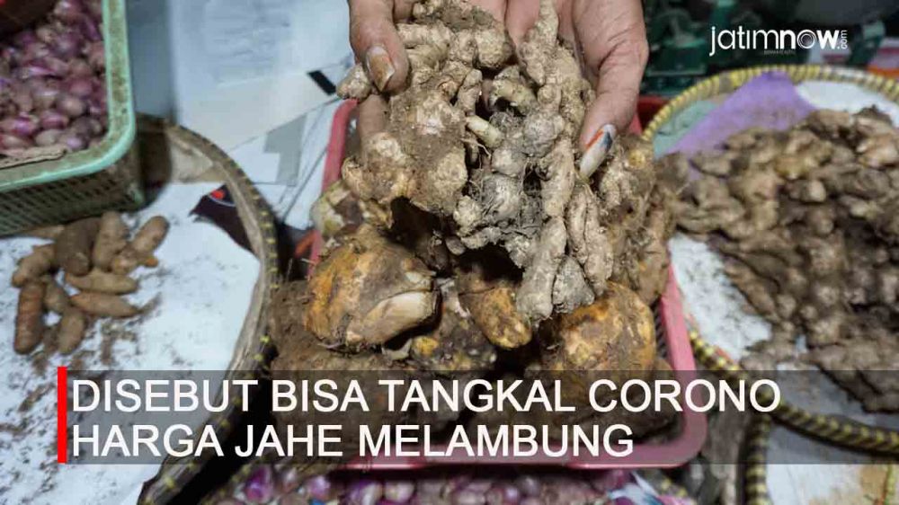 Video: Disebut Bisa Tangkal Corona, Harga Jahe Melambung