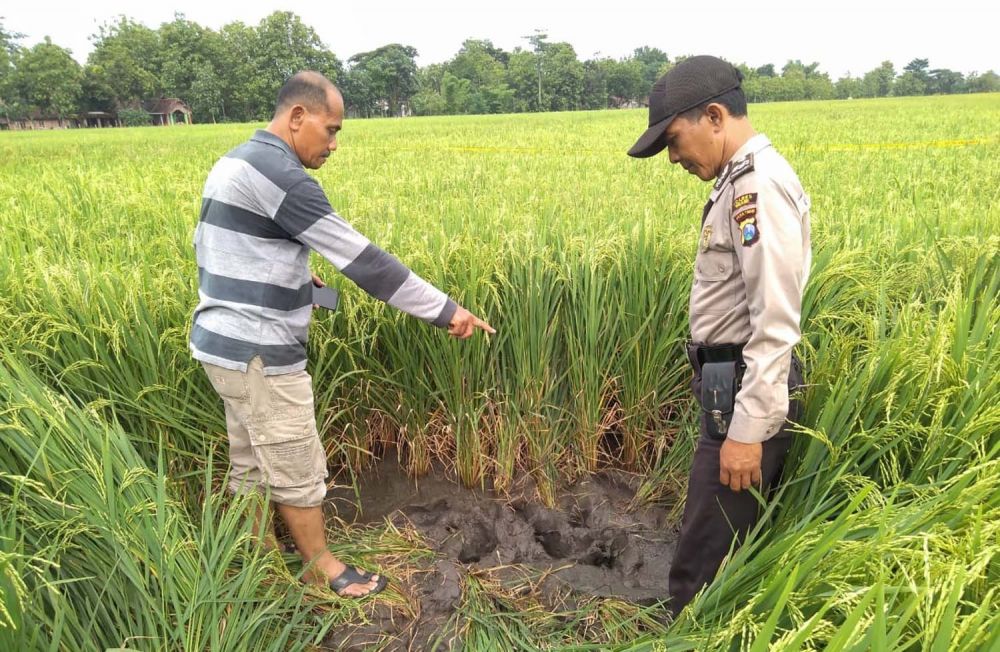 Polisi menunjukkan lokasi ditemukannya jasad petani