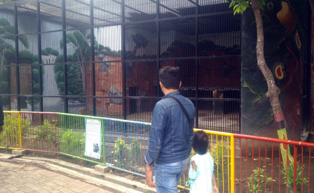 Kandang singa yang sudah dibangun dan disiapkan di TWSL Kota Probolinggo