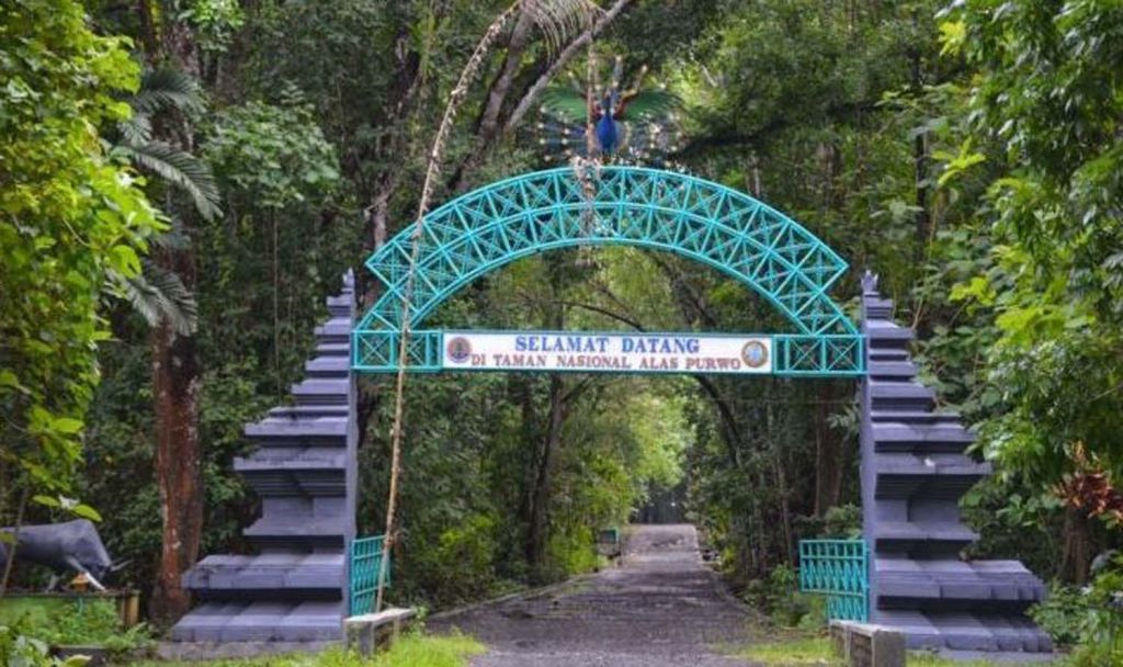 Taman Nasional Alas Purwo