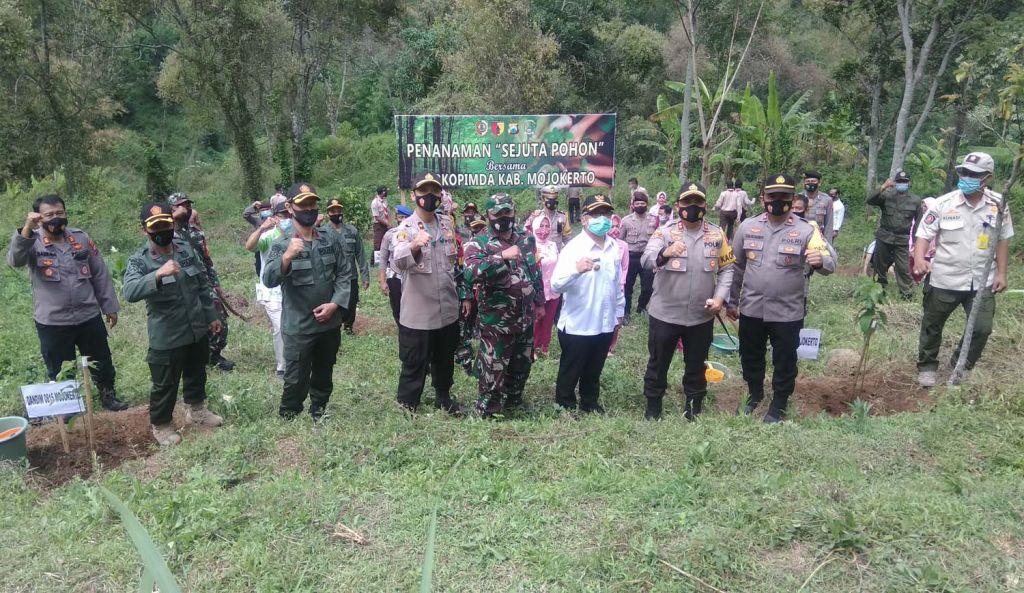 Penanaman satu juta pohon di Mojokerto