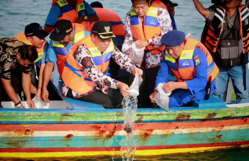 200 Ribu Benih Rajungan Ditebar di Paciran Lamongan