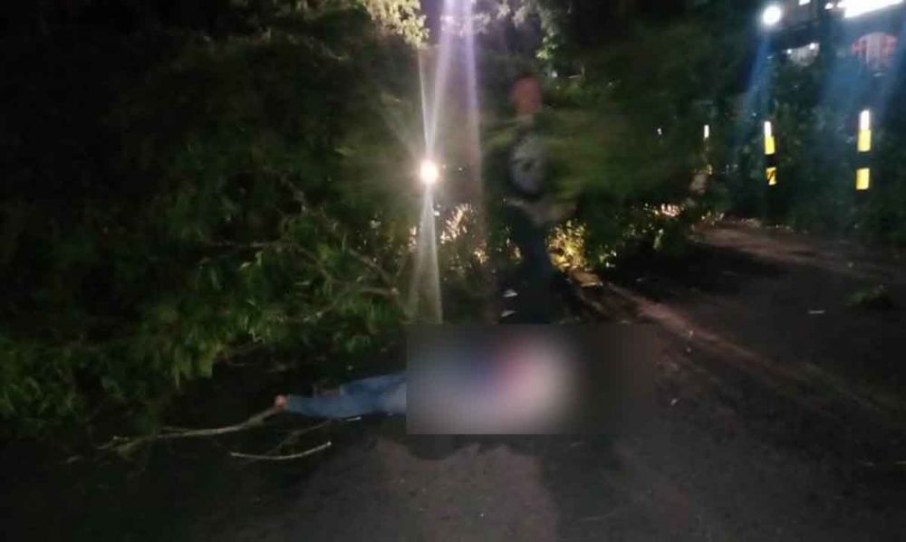 Pengendara motor yang tewas tertimpa pohon sebelum dievakuasi
