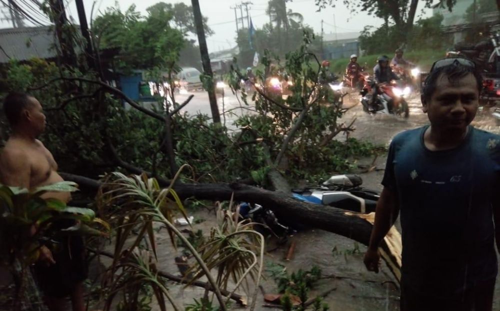 Pohon tumbang di Raya Pakal Surabaya timpa motor dan pengendaranya saat hujan deras