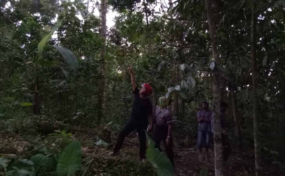 Polisi melakukan olah TKP di kebun tempat korban tertimpa buah durian