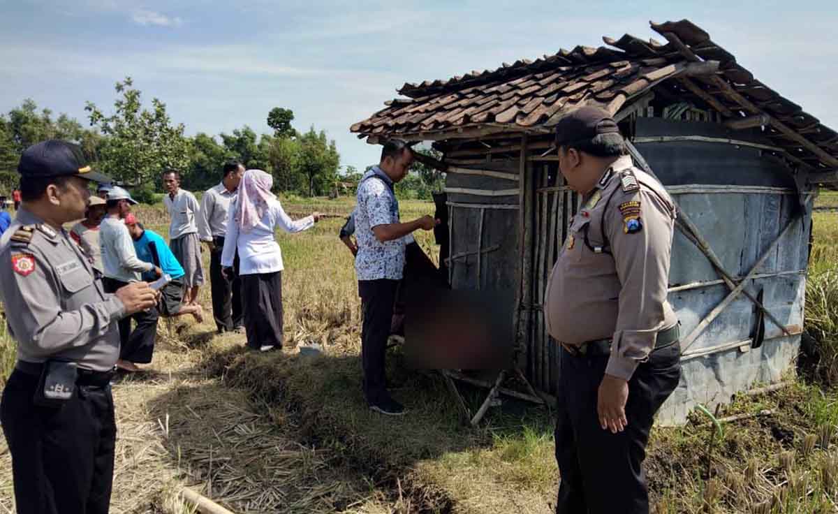 Polisi dan tim medis melakukan identikasi jasad korban di gubuk sawah milik korban 