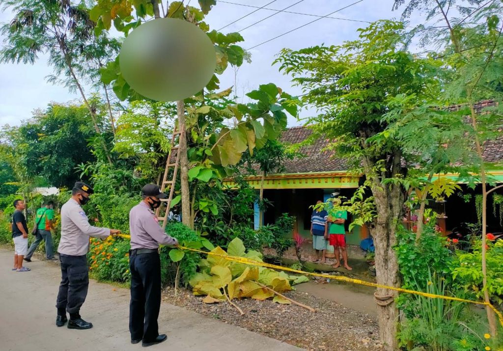 Jasad korban dalam posisi di atas pohon jati