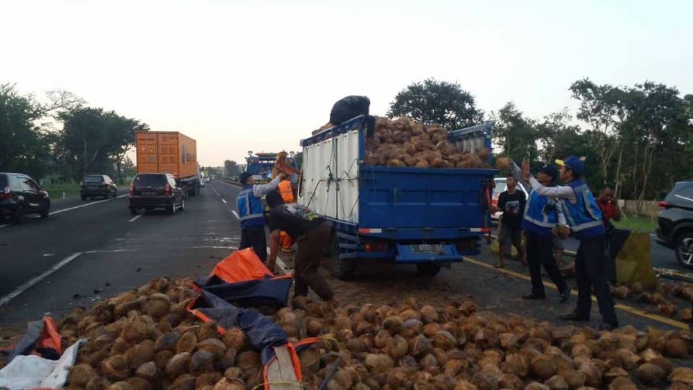 Petugas membantu menaikkan kelapa yang tumpah akibat truk yang mengakut terguling di Tol Porong