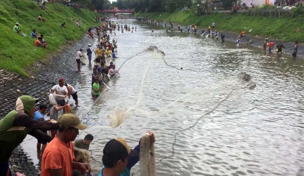 Keseruan Warga Berebut Ikan dalam Tradisi Pasatan di Banyuwangi