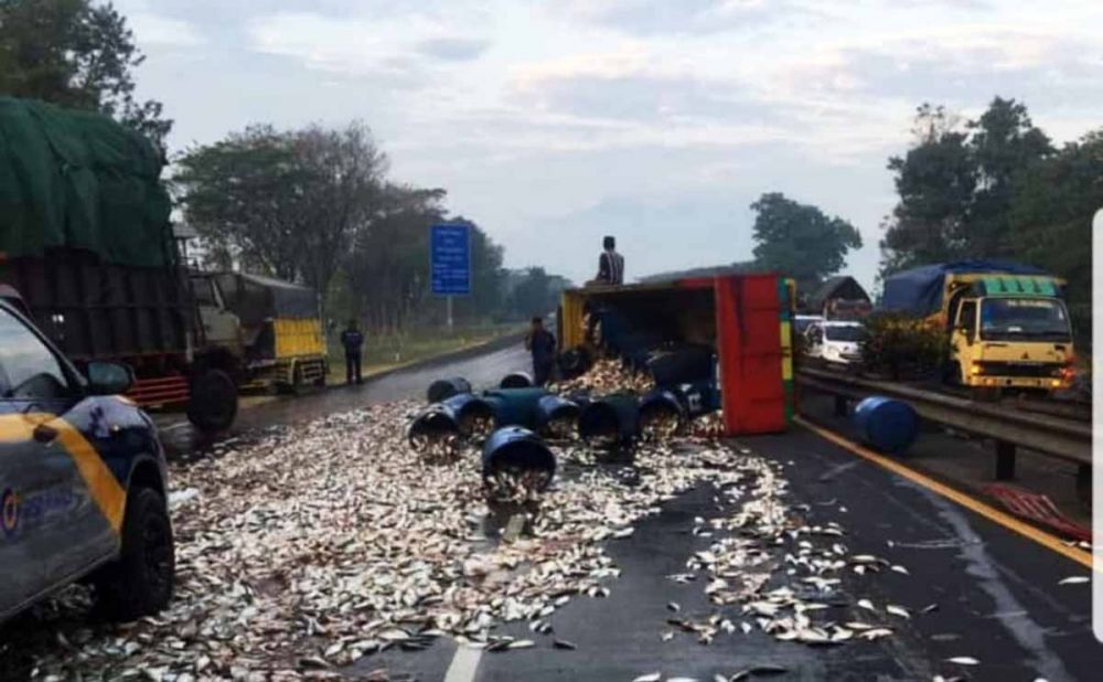 Truk bermuatan ikan mujair basah terguling di Tol Sidoarjo