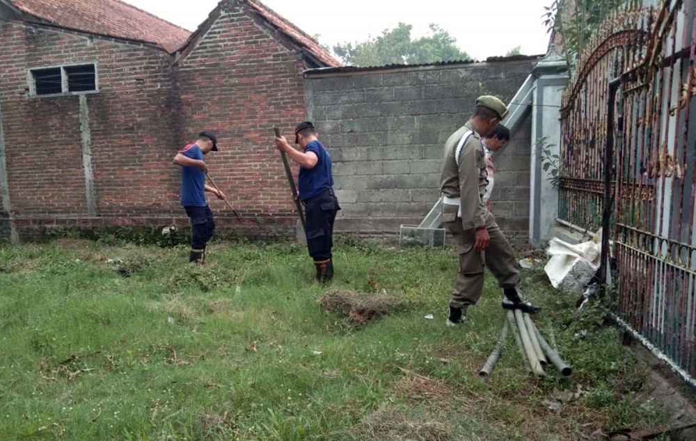 Petugas Satpol PP Tulungagung menyisir sarang ular kobra
