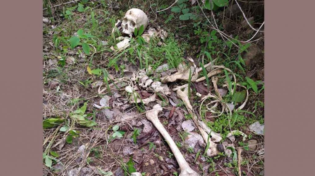 Tulang belulang dan tengkorak manusia yang ditemukan