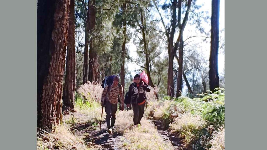 Tim Tahura melakukan pemantauan
